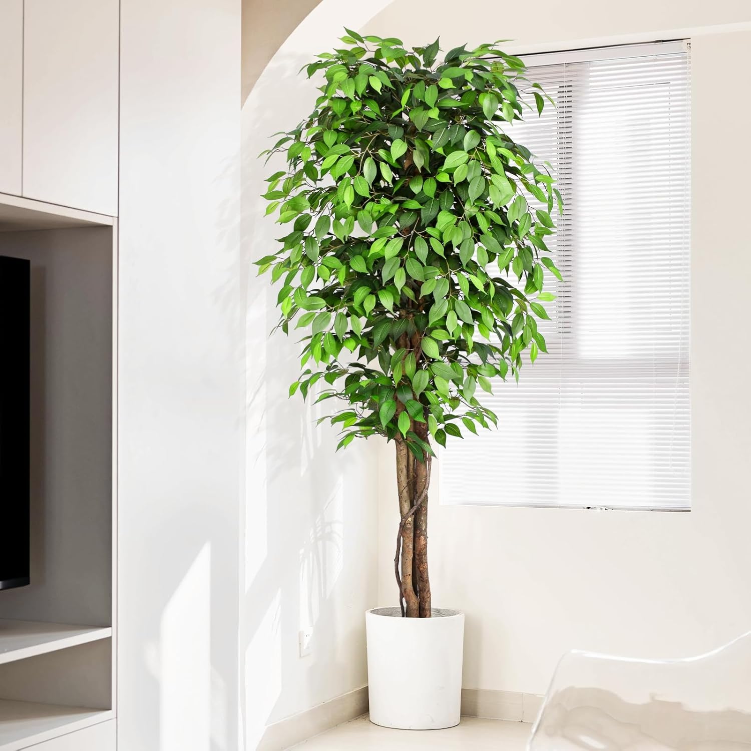 شجرة التين الاصطناعية الواقعية - مراجعة Ficus Lyrata Tree وسعره